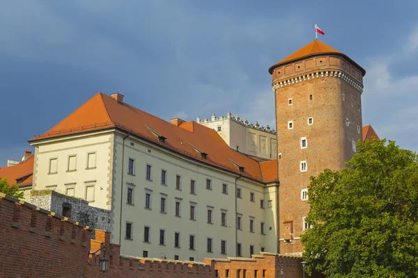 Wawel Kalesi görüntülemek — Stok fotoğraf