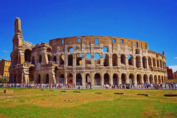 Colosseum in summer — Stock Photo, Image