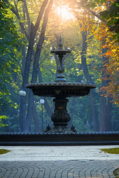 Morning in Mariyinsky Park — Stock Photo, Image