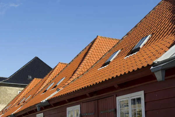 在哥本哈根的石板瓦屋顶 — 图库照片