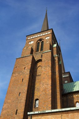 Roskilde Katedrali Danimarka