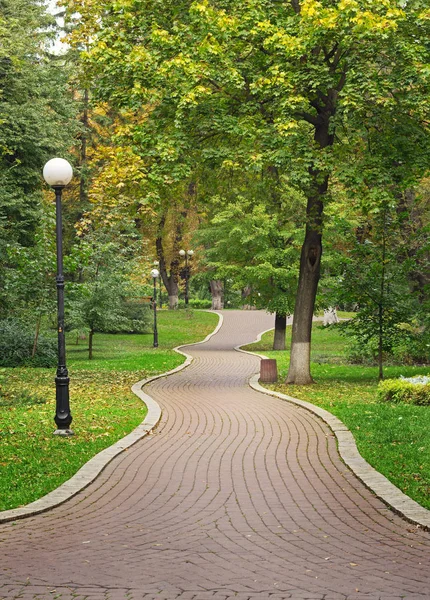 Дорога в Марьинском парке — стоковое фото