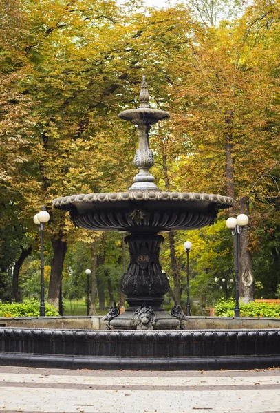 Fontaine dans le parc Maryinsky — Photo