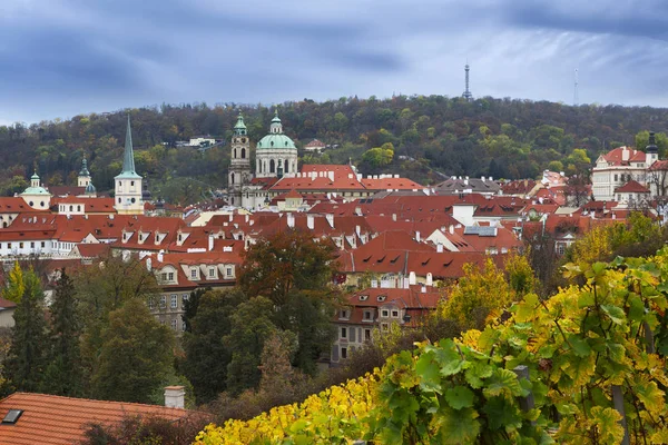 Vignoble de Prague et église Saint-Nicolas — Photo