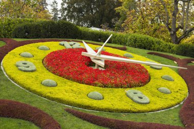 Cenevre flowerbed saat