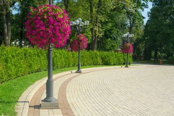 Park names after Taras Shevchenko — Stock Photo, Image