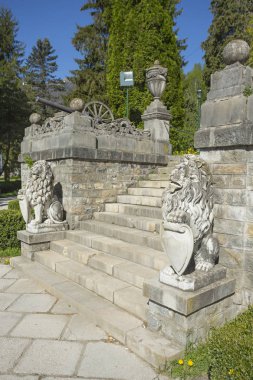 Merdiven Peles Kalesi