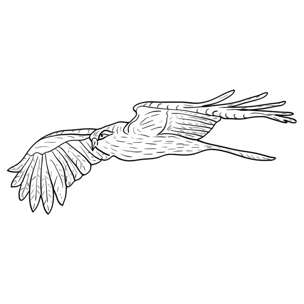 Skizzieren Sie einen schönen Adler auf weißem Hintergrund. Vektorillustration. — Stockvektor