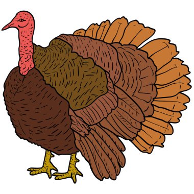 Beyaz bir arka plan üzerinde siyah Türkiye kroki. Vektör çizim.