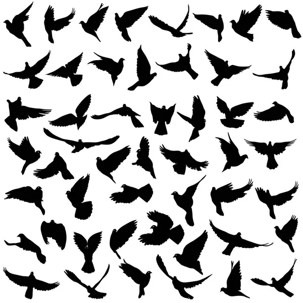 Concept of love or peace. Set silhouettes doves. Vector illustration — Stock Vector