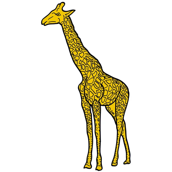 Szkic wysokiej African żyrafa na białym tle. Ilustracja wektorowa — Wektor stockowy