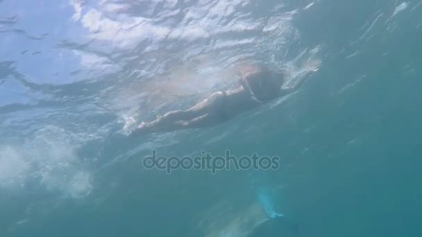 Женщина-пловчиха плавает по морю под водой . — стоковое видео