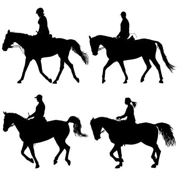 Set silueta vectorial de caballo y jinete — Archivo Imágenes Vectoriales