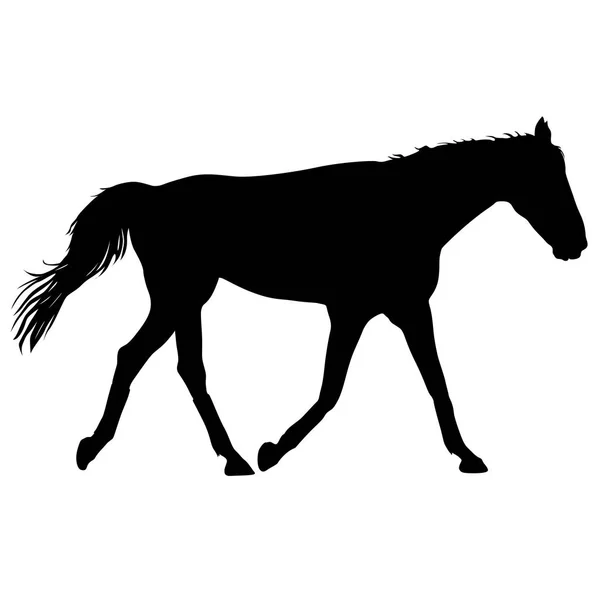 Silhouette de cheval mustang noir illustration vectorielle — Image vectorielle