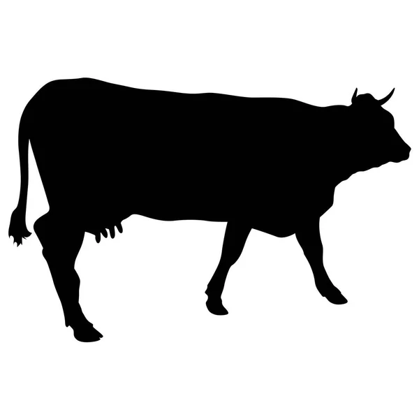 Чорний силует готівкової корови на білому тлі — стоковий вектор