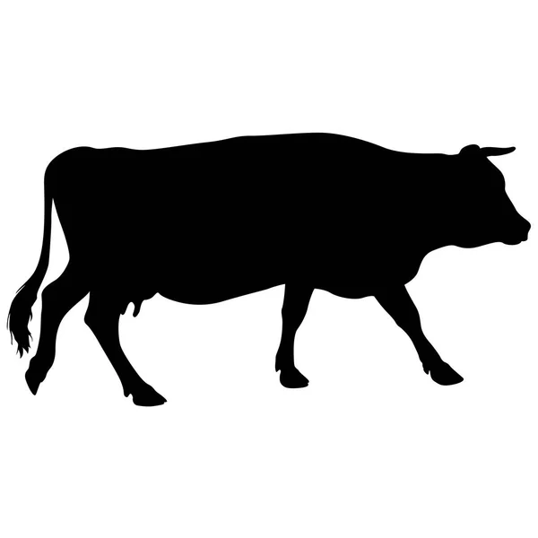 Black silhouette of cash cow on white background — Stock Vector