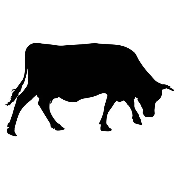 Cash tehén, fehér alapon fekete sziluettje — Stock Vector