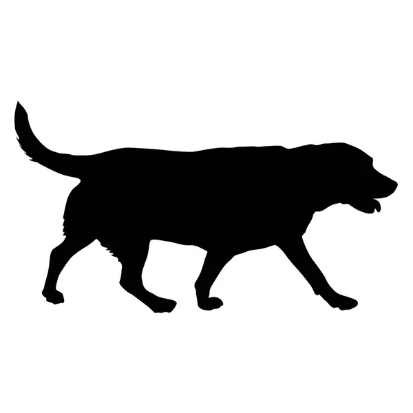 Silhouette de chien Labrador sur fond blanc — Image vectorielle
