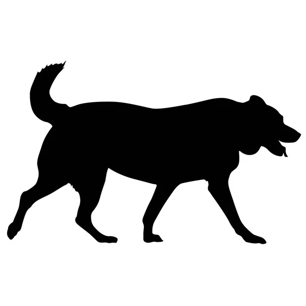 Silueta de perro labrador sobre fondo blanco — Vector de stock