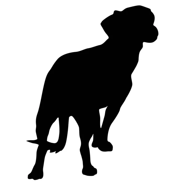 Toy Fox terrier hond silhouet op een witte achtergrond — Stockvector