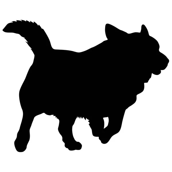 Silhouette de chien Corgi gallois sur fond blanc — Image vectorielle