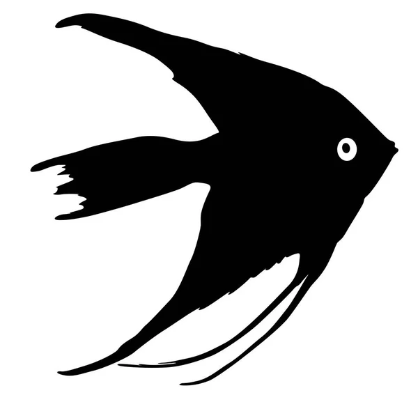 Черный силуэт аквариумных рыб на белом фоне — стоковый вектор