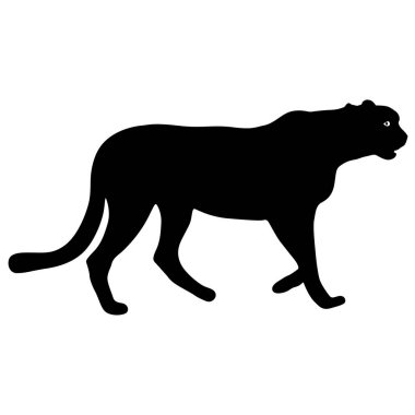 Beyaz bir arka plan üzerinde güzel jaguar siluet