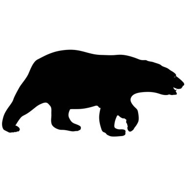 Beyaz arka planda siluet kutup ayısı