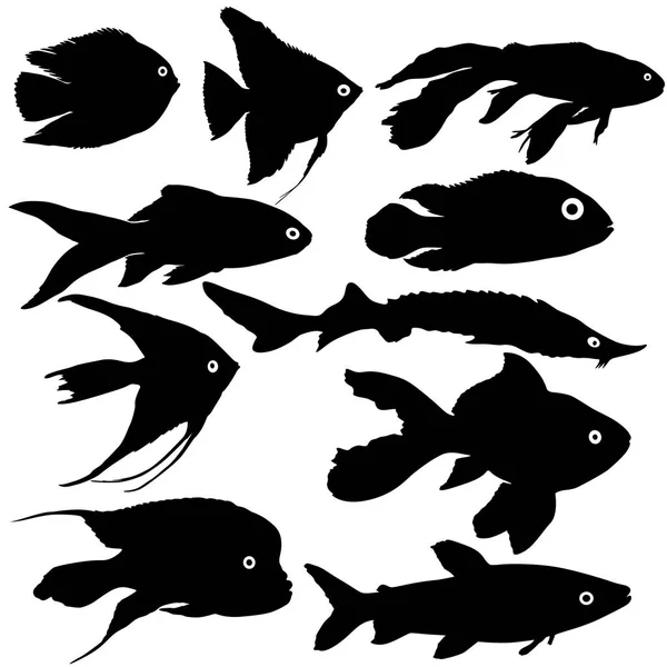 Siyah akvaryum balık silueti beyaz arka plan üzerinde ayarlayın. — Stok Vektör