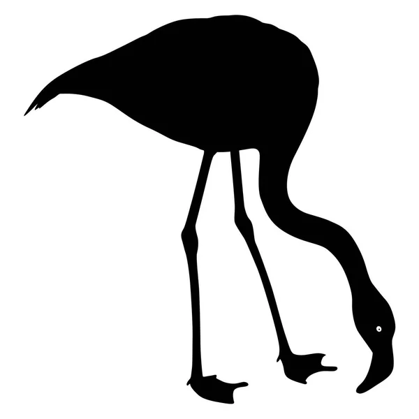 白の背景にシルエットの鳥のフラミンゴ — ストックベクタ