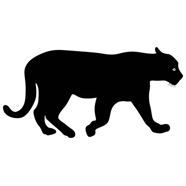 Silhouette vackra panther på vit bakgrund — Stock vektor