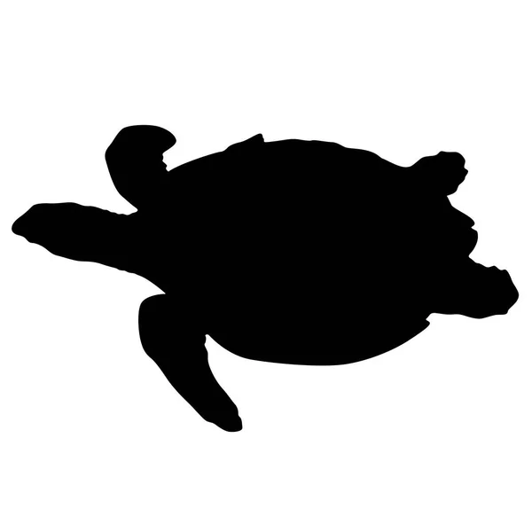 Sylwetka piękne żółwi morskich na białym tle — Wektor stockowy