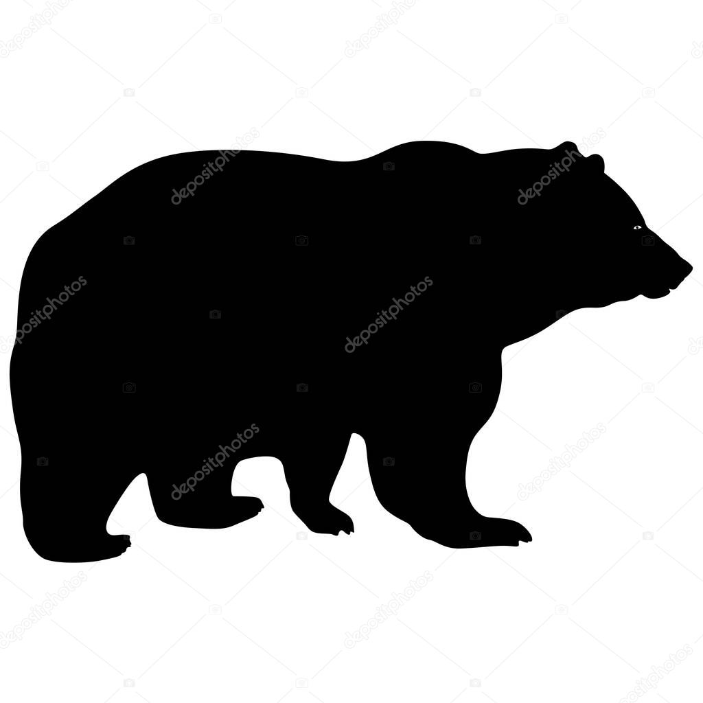 Silhouette brown bear on a white background