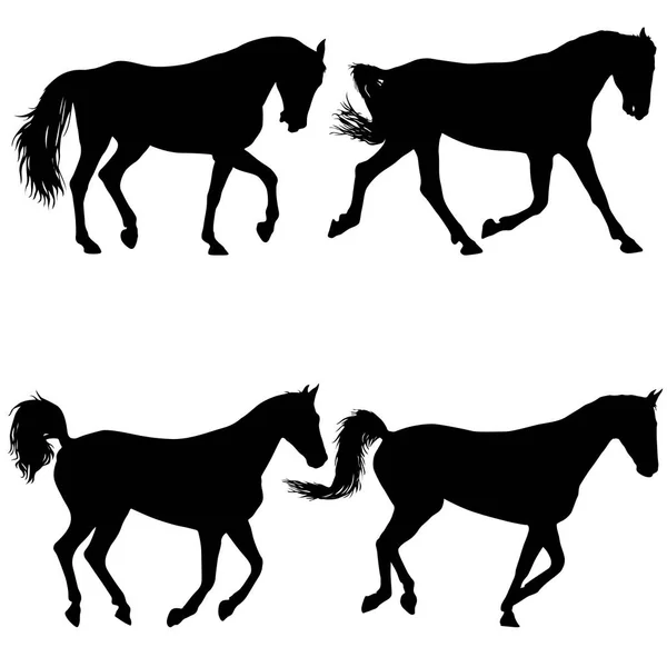 Set silhouette animale de cheval moutang noir illustration — Image vectorielle