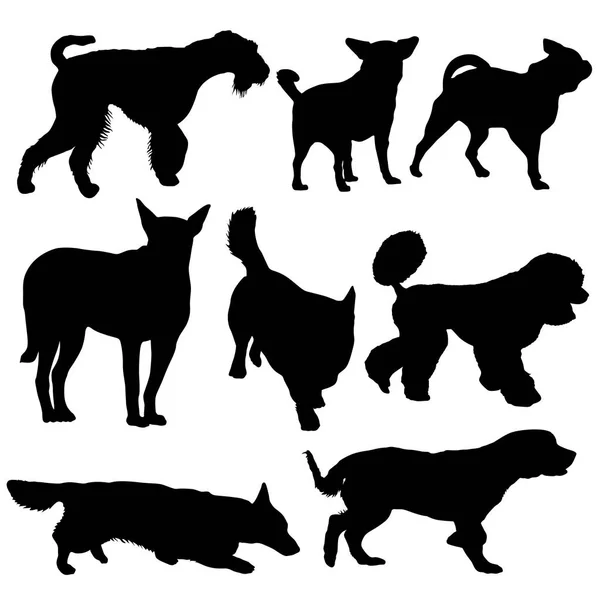 Set silhouette chien noir sur fond blanc — Image vectorielle