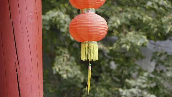Rode lantaarn opknoping op de achtergrond van het boomblad — Stockfoto