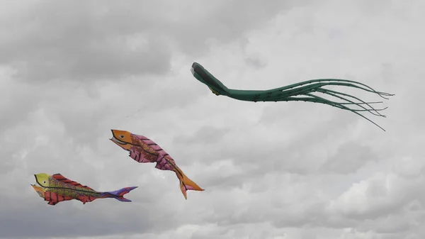 Kleur vlieger zweven in de lucht — Stockfoto