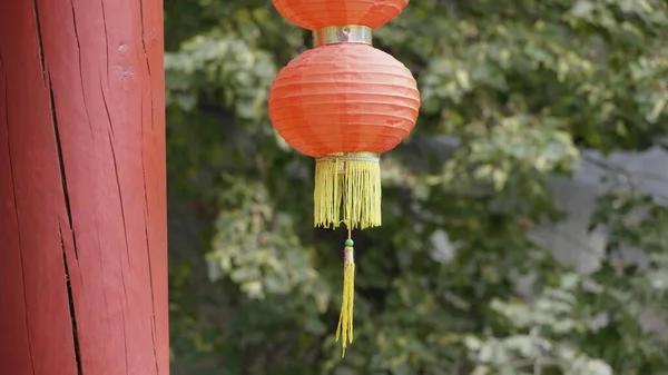 Linterna roja colgante en el fondo de la hoja de árbol —  Fotos de Stock