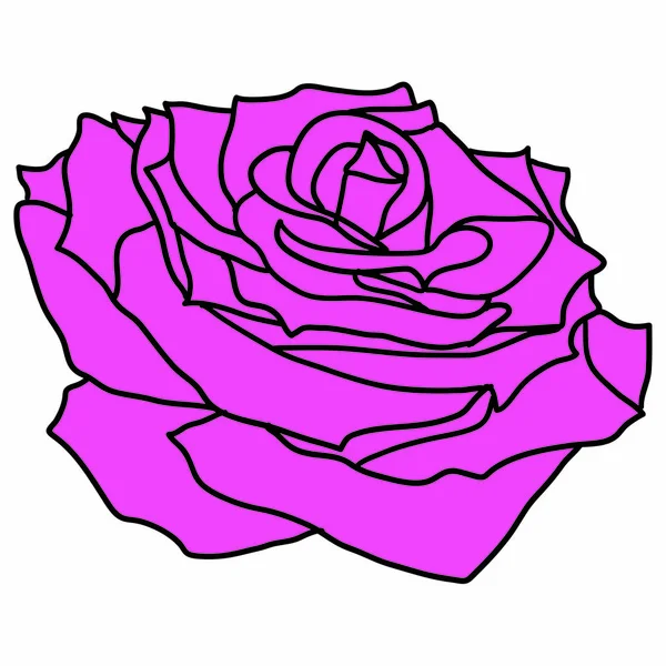 Belle esquisse rouge d'une fleur de rose sur fond blanc — Image vectorielle