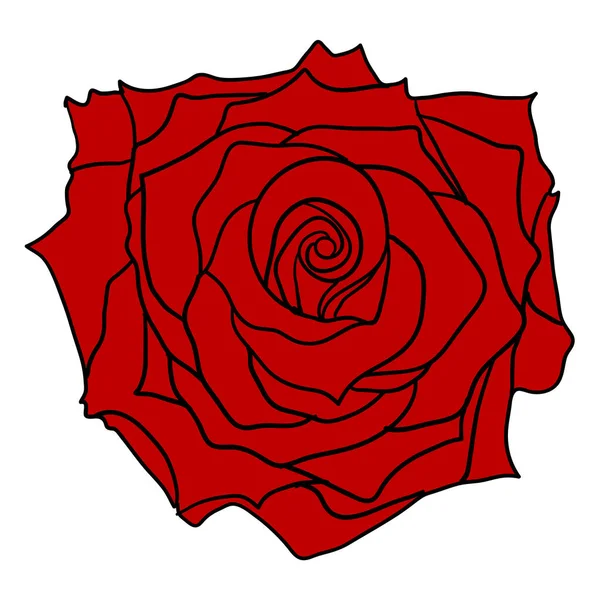 Mooie schets rood van een roos bloem op een witte achtergrond — Stockvector