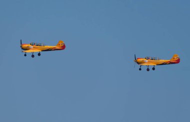 Moskova Rusya Zhukovsky Havaalanı 31 Ağustos 2019: Aerobatik uçak Yak-52 Uluslararası Havacılık Salonu MAKS-2019.