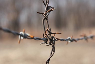 Bulanık arkaplanda paslı çelik dikenli tel