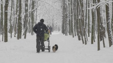 MOSCOW - 17 HAZİRAN: 17 Ocak 2018 'de Rusya' nın başkenti Moskova 'da bir bebek arabasında bir bebekle kış yürüyüşü yapan baba.
