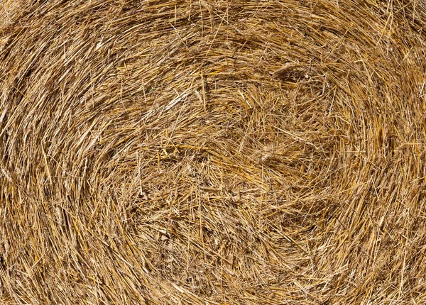 Rural Landscape Golden Straw Texture Background Close — Stock Photo, Image