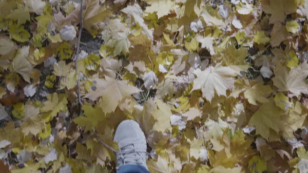 Hombre Zapatos Caminar Parque Otoño Ciudad Aire Libre Paseo Concepto — Foto de Stock