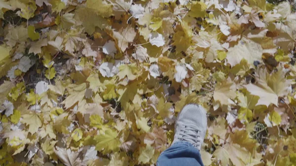 靴を履いた男が公園を歩いている秋の屋外都市の散歩のコンセプト — ストック写真