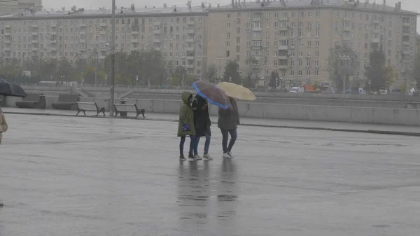 Две Девушки Гуляющие Одним Зонтиком Парке Вдоль Набережной — стоковое фото