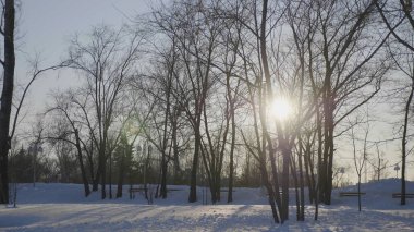 Ormanda güneş ışığıyla kış günbatımı.