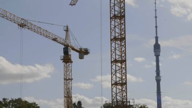 Bir sürü vinç. Mavi gökyüzüne karşı gökyüzü, bulutlu kule turnaları.