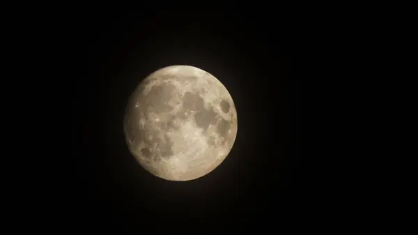 Half Moon Background Sendo Único Satélite Natural Permanente Terra — Fotografia de Stock